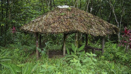 Shelter di Kota Jonestown Guyana. (foto/istimewa)
