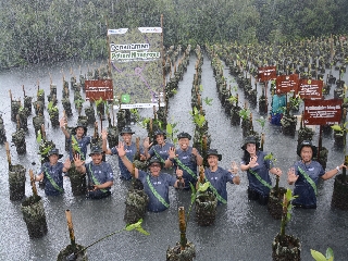 Aksi Penanaman 1.000 Pohon Mangrove di Pesisir Jakarta Utara.(foto: ist)